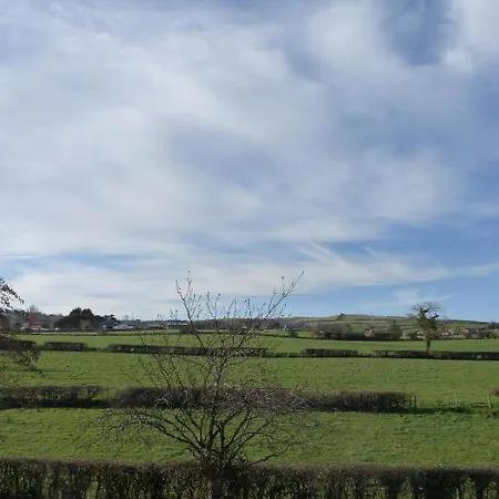 Saxon Robin Hood's Bay