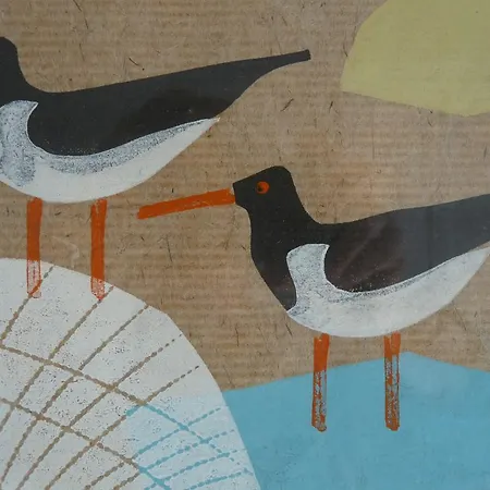 Saxon מפרץ רובין הוד