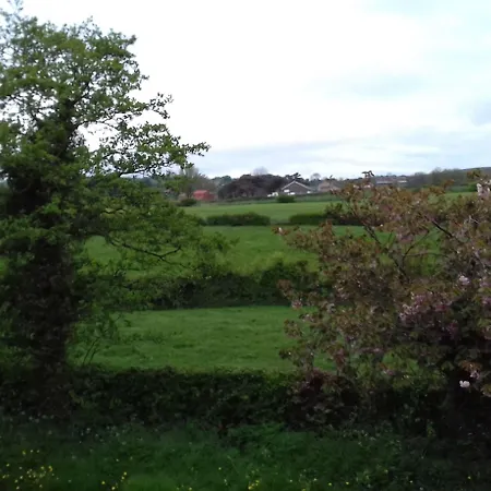 Saxon * מפרץ רובין הוד