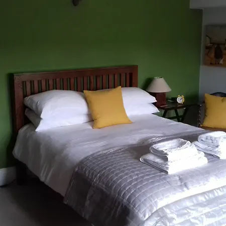 Saxon מפרץ רובין הוד