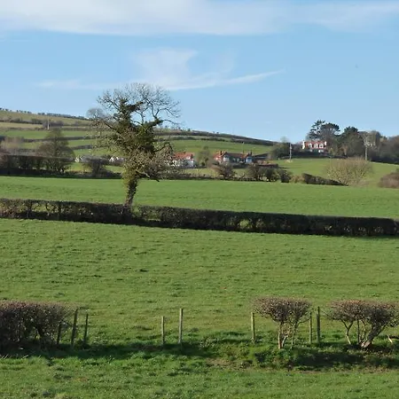 Saxon * Robin Hood's Bay