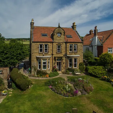 Saxon * Robin Hood's Bay