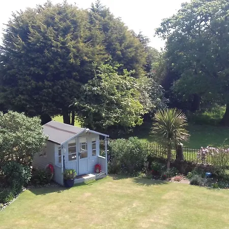 Saxon * Robin Hood's Bay