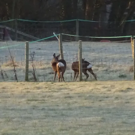 Landhaus Saxon Robin Hood's Bay