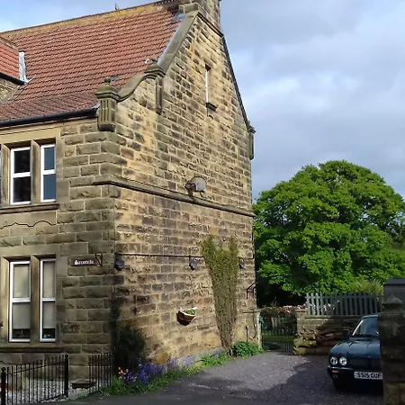 Saxon Robin Hood's Bay