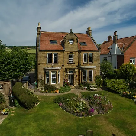Saxon * Robin Hood's Bay