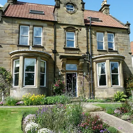 Saxon * Robin Hood's Bay